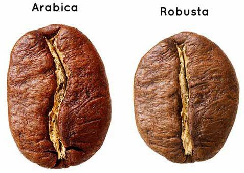 Choose better coffee beans